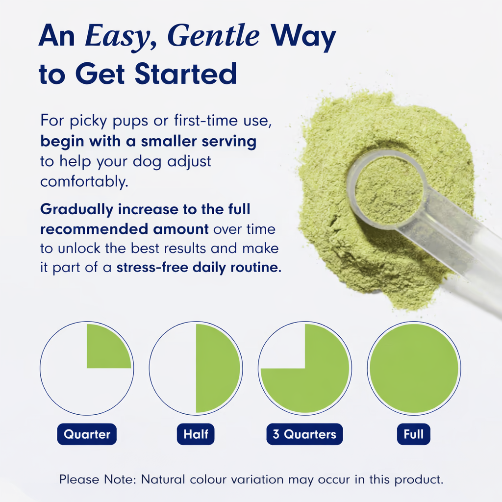 Vetora Oral Balance™