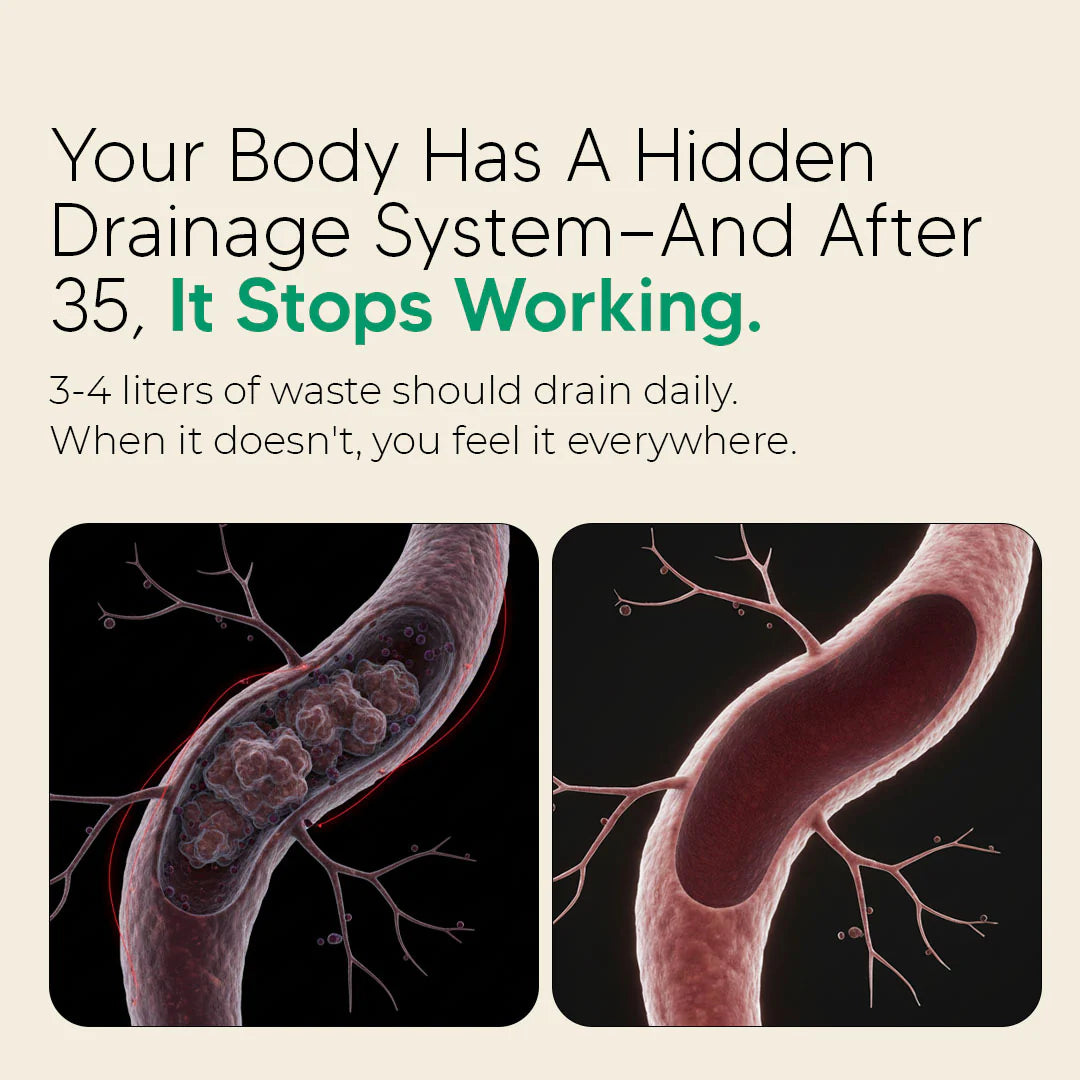 Wake Up With a Flat Stomach — No More Bloating, No More Guessing